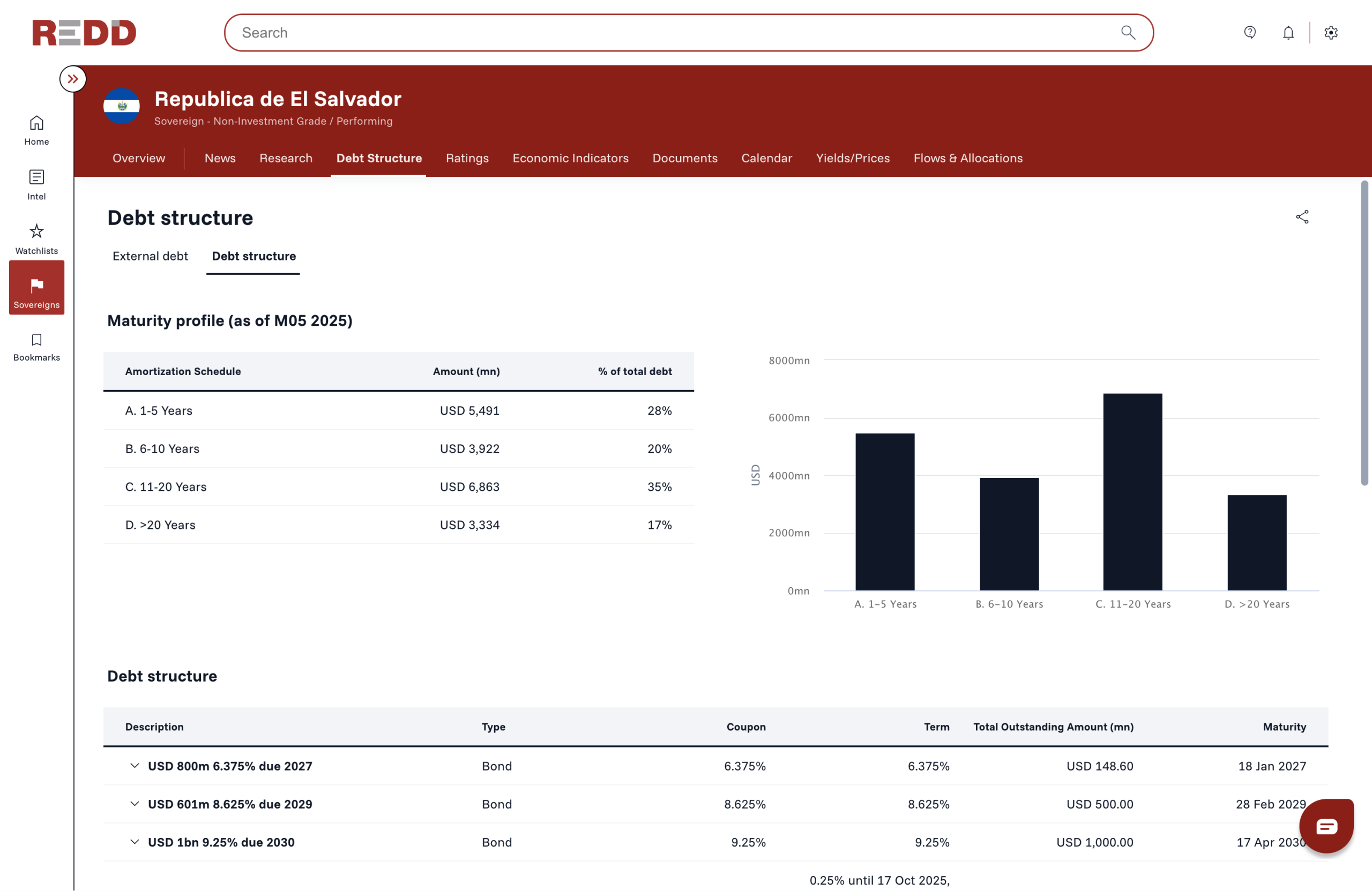 Debt Structure Panel
